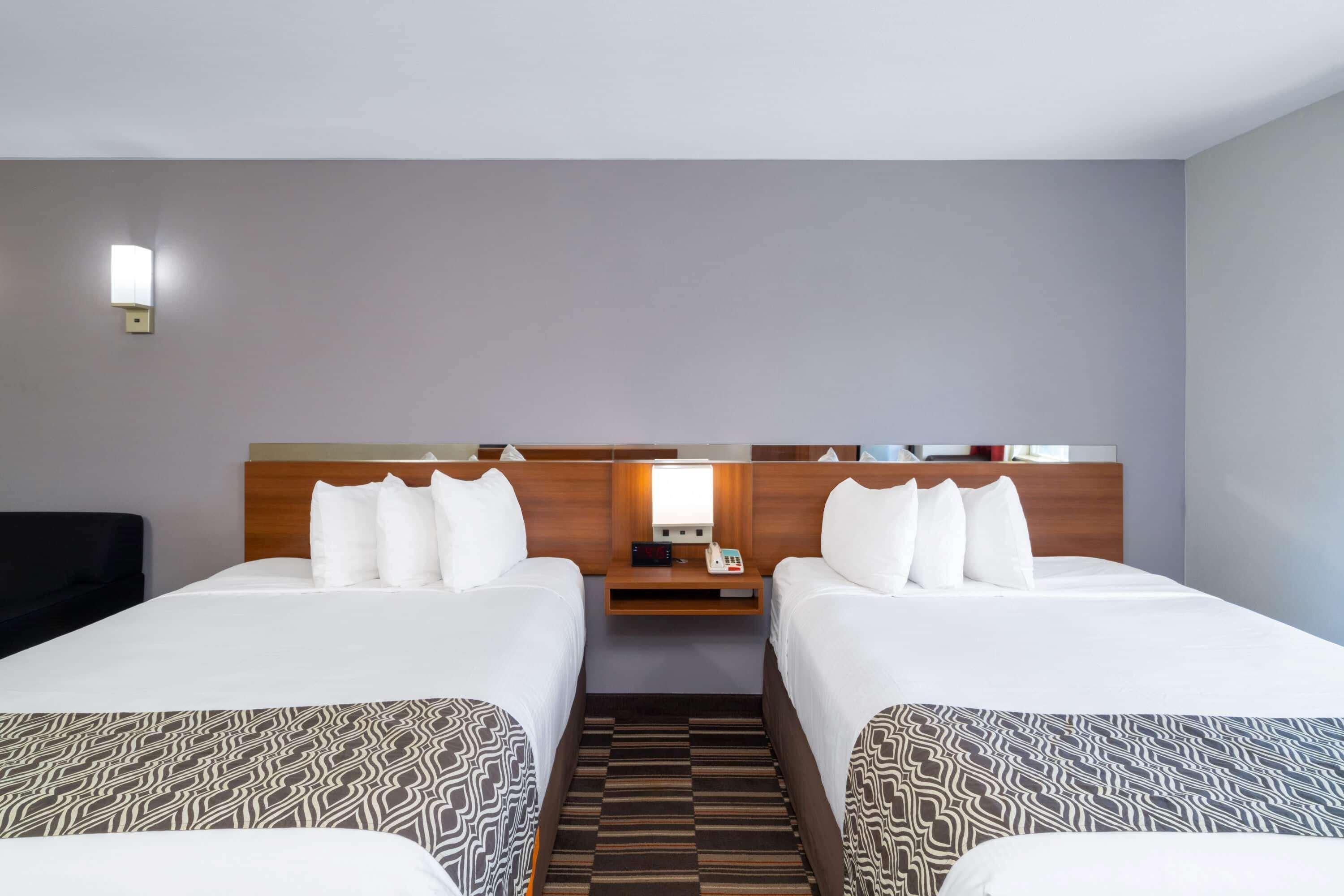 Microtel Inn & Suites By Wyndham Savannah/Pooler Extérieur photo